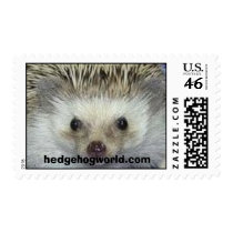 hedgehogworld.com stamp by hedgehogworld hedgehogworld.com stamp