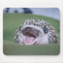 hedgy mousepads
