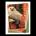Hedwig 1 postcards