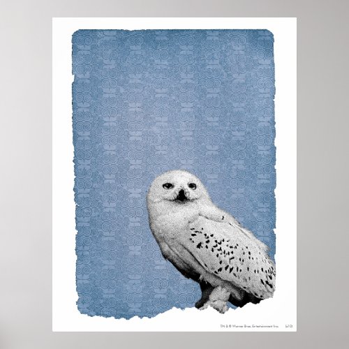Hedwig 2 print