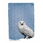 Hedwig 2 tee shirt