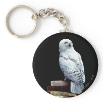 Hedwig on books keychain