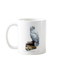 Hedwig on books mug
