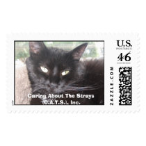 Hedy Lamarr Postage postage