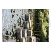 Heian Gardens Pond and Walk in Kyoto cards
