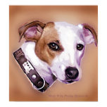 pets, dogs, digital pet portrait, eportrait, heidi