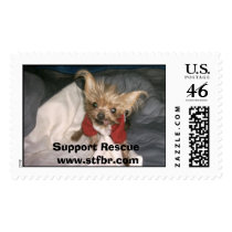 Heidi the Yorkie Princess postage