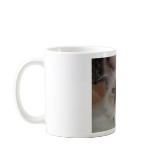 Heilige Birma mug