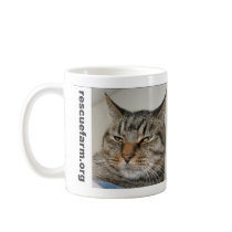 Heinz Mug