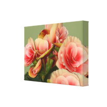 Heirloom Begonias 2 Canvas Print