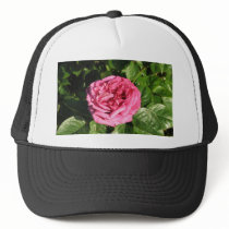 Heirloom Hybrid Tea Rose 027 hats by MobyD46 Heirloom Hybrid Tea Rose 027 hats