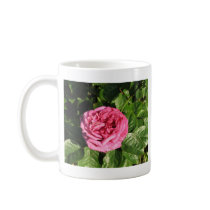 Heirloom Hybrid Tea Rose 027 Mugs
