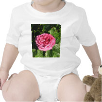 Heirloom Hybrid Tea Rose 027 t-shirts by MobyD46 Heirloom Hybrid Tea Rose 027 t-shirts
