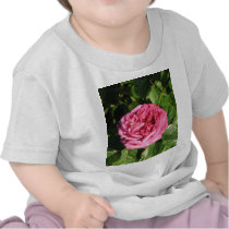 Heirloom Hybrid Tea Rose 027 t-shirts by MobyD46 Heirloom Hybrid Tea Rose 027 t-shirts
