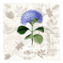 hydrangea, blue-violet, vintage botanicals