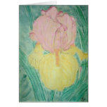 HEIRLOOM IRIS cards