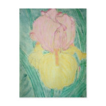 HEIRLOOM IRIS postcards