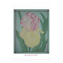 HEIRLOOM IRIS posters