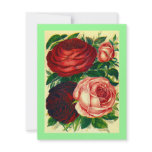 HEIRLOOM ROSES ~ PRETTY REHEARSAL DINNER INVITES!