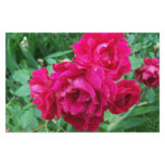 Heirloom Roses Stationary Personalized Stationery