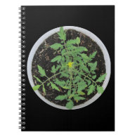Heirloom Tomato Plant Peace Sign Note Book