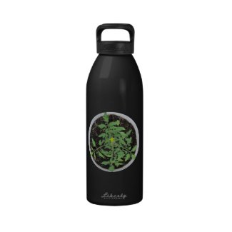 Heirloom Tomato Plant Peace Sign Reusable Water Bottle