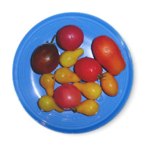 Heirloom tomatoes magnets