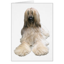 Helaine's Afghan Greeting Cards