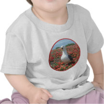 Helaine's Anacapa Island Seagull Tshirt