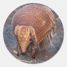 Helaine's Armadillo Stickers