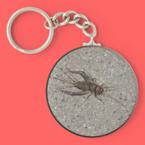 Helaine's Cricket keychains