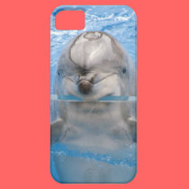 Helaine's Dolphin casemate cases