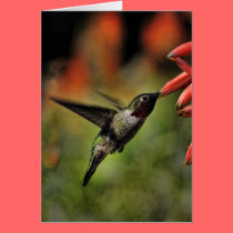 Helaine's Hummingbird 2 cards