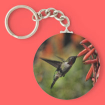 Helaine's Hummingbird 2 keychains