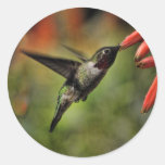 Helaine's Hummingbird 2 Round Sticker