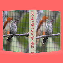 Helaine's Hummingbird binders