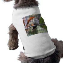 Helaine's Hummingbird Doggie T Shirt