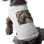 Helaine's Hummingbird Doggie T Shirt