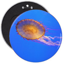 Helaine's Jelly Fish 1 buttons