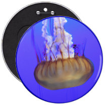 Helaine's Jelly Fish 4 buttons