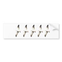 Helaine's Soaring Seagull Bumper Sticker