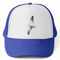 Helaine's Soaring Seagull Hats