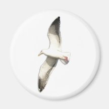 Helaine's Soaring Seagull Magnet