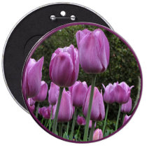 Helaine's Tulips buttons