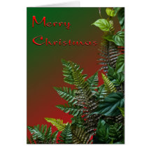 Helechos de navidad felicitaciones