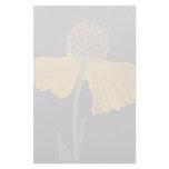 Helenium, Bressingham's Gold Custom Stationery