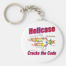 Helicase Cracks the Code Keychains