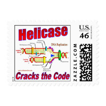 Helicase Cracks the Code Postage
