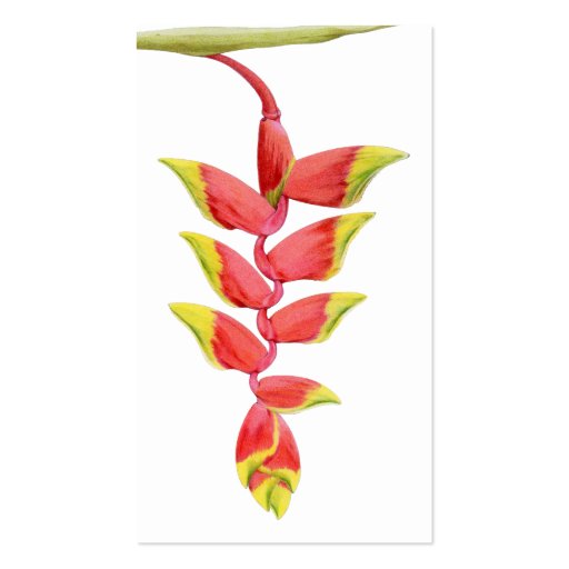 Heliconia Branch Profile Card Business Cards (front side)
