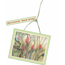 Heliconia  ('Bush Bling') t-shirts
